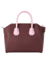 Antigona Small Tri-Color Bag, back view